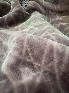 Snapshot of Afganiboy chatting on February 4, 1:50 pm Afganiboy online show from February 4, 1:50 pm