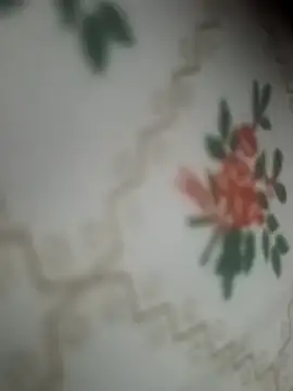 lusty daisy 01 online show from March 26, 5:07 pm