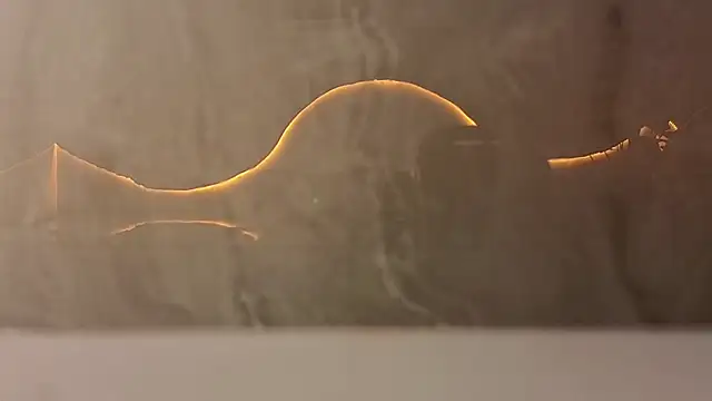 Snapshot of samy_tp chatting on December 5, 7:21 pm samy tp online show from December 5, 7:21 pm