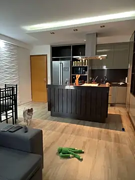 BelleRune online show from January 1, 7:43 pm