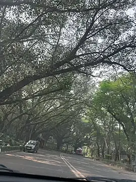 sexyayeshadesi online show from November 20, 5:29 am