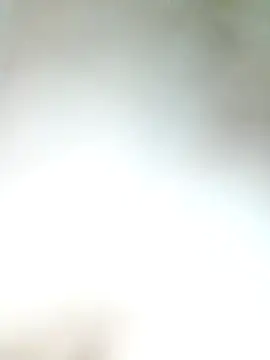 Pxrani online show from November 17, 3:29 pm