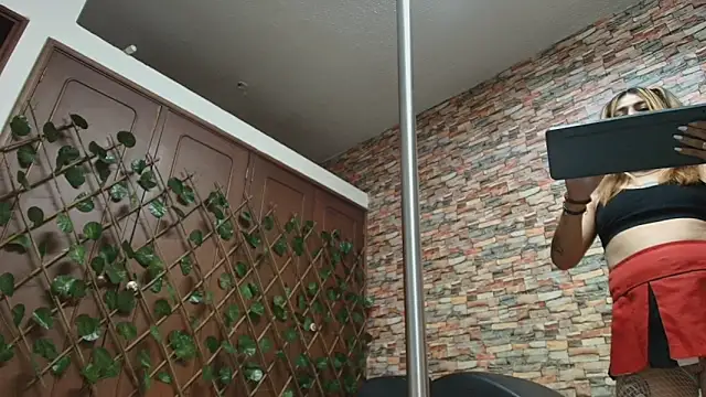 dania ch online show from November 16, 1:39 pm