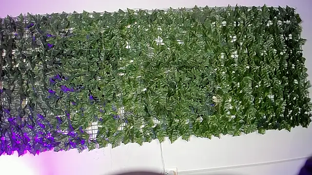 LiilithStonne online show from March 16, 12:53 pm