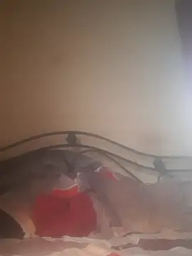 Snapshot of Shivona chatting on November 28, 3:53 am Shivona online show from November 28, 3:53 am