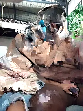 chathu danu online show from December 1, 9:53 pm