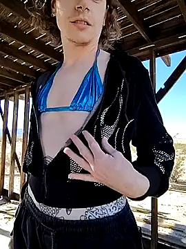 dragonlock online show from November 29, 6:55 pm