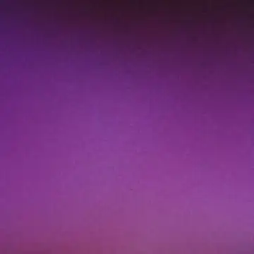 Snapshot of BigBlackDick4Yuuu chatting on November 17, 3:56 am BigBlackDick4Yuuu online show from November 17, 3:56 am