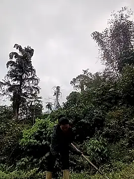 meomeo-00 online show from March 18, 8:06 am