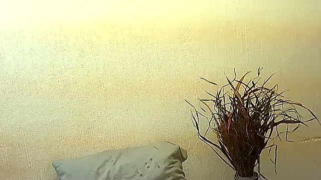 Snapshot of BrunetteNaomi8 chatting on July 4, 8:04 pm BrunetteNaomi8 online show from July 4, 8:04 pm