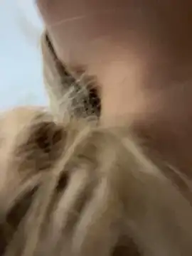 Chloe GraceeX online show from February 2, 8:40 pm