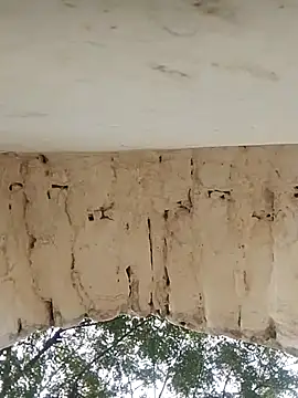 Xxx suhana online show from November 27, 7:54 am