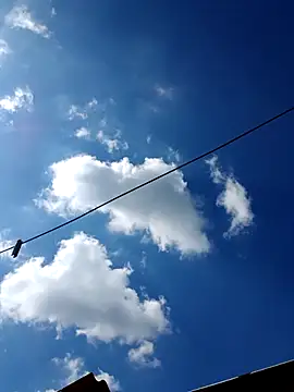 Snapshot of Eezxxx chatting on December 17, 7:14 am Eezxxx online show from December 17, 7:14 am