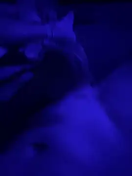 Tommy777B online show from February 7, 10:57 pm