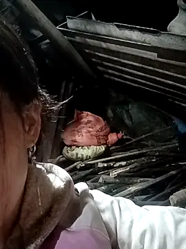 Snapshot of nangmo chatting on November 29, 1:03 pm nangmo online show from November 29, 1:03 pm