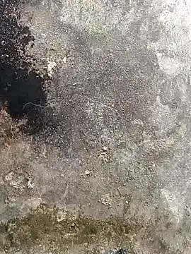 lynae-0 online show from December 15, 5:12 am