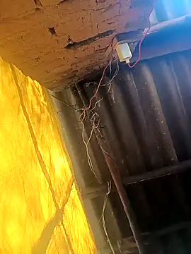 Babita Gori online show from December 19, 5:58 am