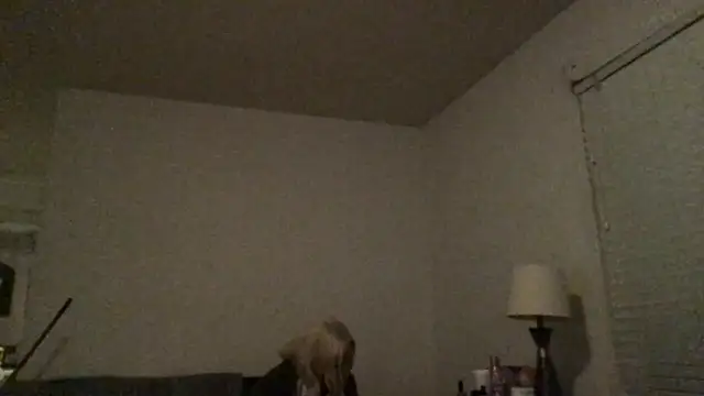 Snapshot of Babyboobabybye08 chatting on March 6, 11:17 am Babyboobabybye08 online show from March 6, 11:17 am