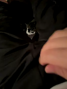 Laufla online show from December 3, 10:52 pm