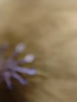 RASHMI SHARMA9 online show from February 16, 3:57 am