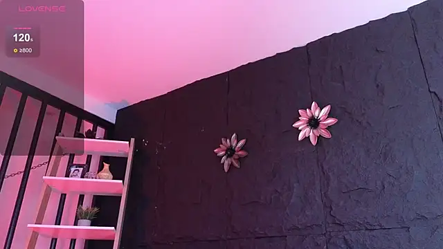 Paulo 527 online show from January 12, 8:47 pm