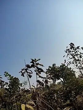 88zaifkhan88 online show from January 14, 5:13 am