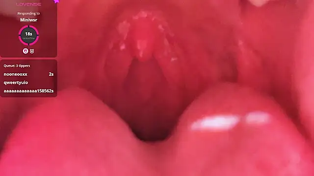 LT-333 online show from February 26, 5:23 pm