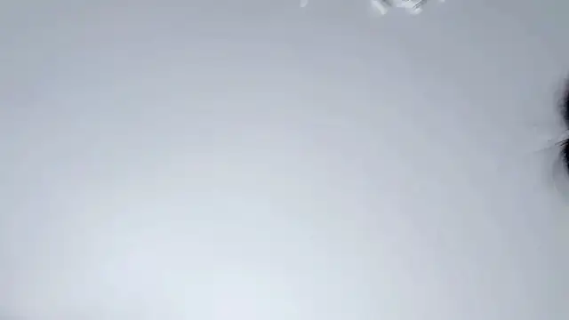 Snapshot of Celestisse- chatting on November 29, 5:54 am Celestisse- online show from November 29, 5:54 am