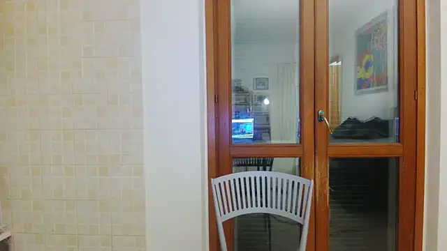 AMIRDIB2025 online show from April 29, 2:48 am