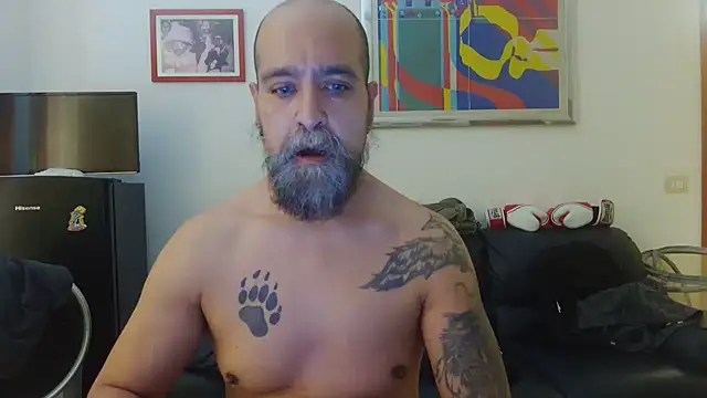 AMIRDIB2025 online show from June 15, 1:57 pm