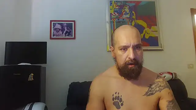 AMIRDIB2025 online show from June 17, 10:50 am