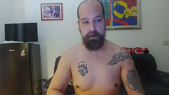 AMIRDIB2025 online show from June 26, 11:47 am