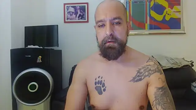 AMIRDIB2025 online show from July 3, 1:06 pm
