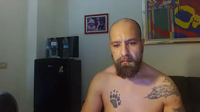 AMIRDIB2025 online show from July 4, 2:01 pm