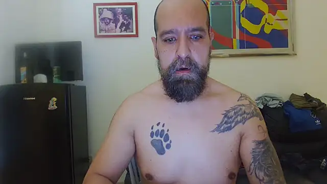 AMIRDIB2025 online show from July 11, 12:08 pm