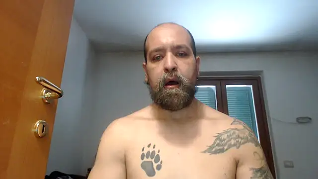 AMIRDIB2025 online show from July 21, 3:25 pm