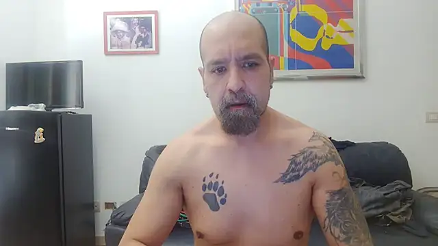 AMIRDIB2025 online show from July 28, 7:26 am