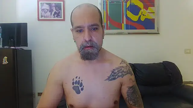 AMIRDIB2025 online show from August 3, 10:10 am