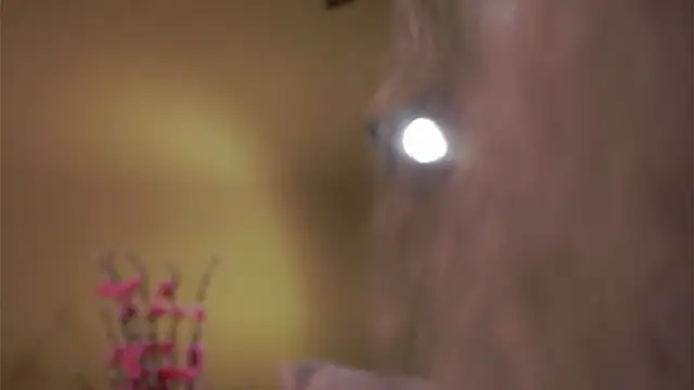 AunclreaVache online show from March 5, 12:56 pm