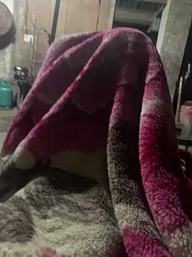 anh-soi123 online show from March 11, 5:41 pm