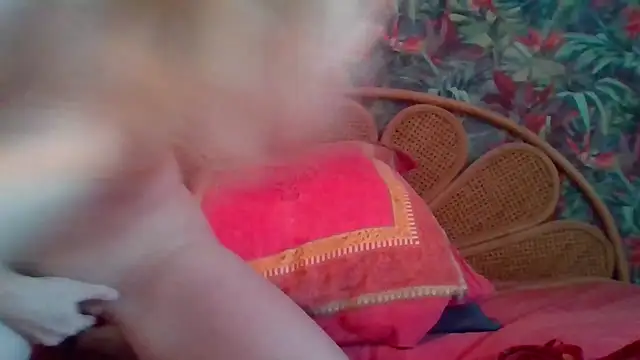 Snapshot of Clelia33 chatting on February 7, 1:48 pm Clelia33 online show from February 7, 1:48 pm