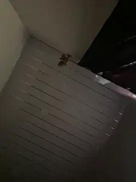 Snapshot of Carameloswing1 chatting on March 19, 10:14 pm Carameloswing1 online show from March 19, 10:14 pm