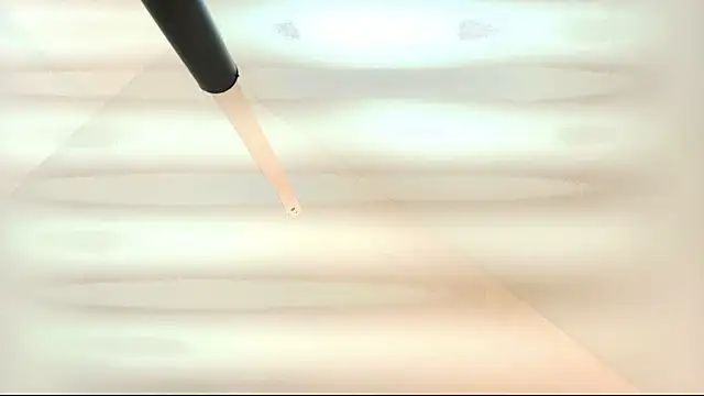 tamara walter online show from March 5, 1:40 pm