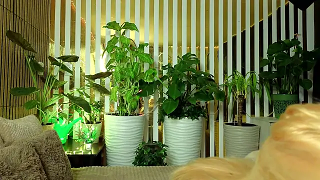 Snapshot of FlowweerGirl chatting on December 15, 9:41 pm FlowweerGirl online show from December 15, 9:41 pm