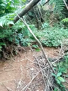 ava-dellght online show from January 17, 2:38 am