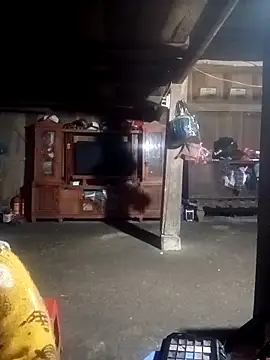 ava-dellght online show from February 4, 2:28 am