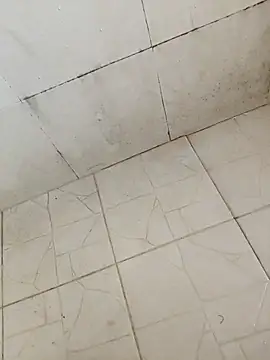 Snapshot of BoyMuslimTelugu chatting on December 17, 5:24 am BoyMuslimTelugu online show from December 17, 5:24 am