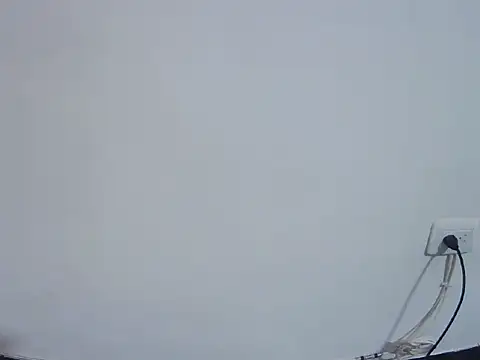 Fernanda andrew online show from February 24, 4:49 pm