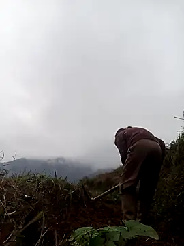 mon-monk online show from December 17, 1:11 am