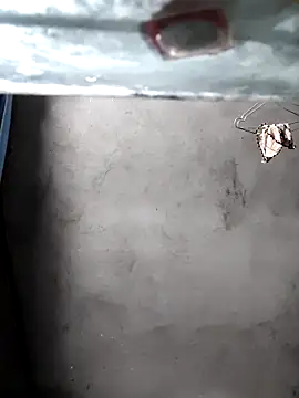 Snapshot of gigo-ulala chatting on December 16, 1:38 pm gigo-ulala online show from December 16, 1:38 pm